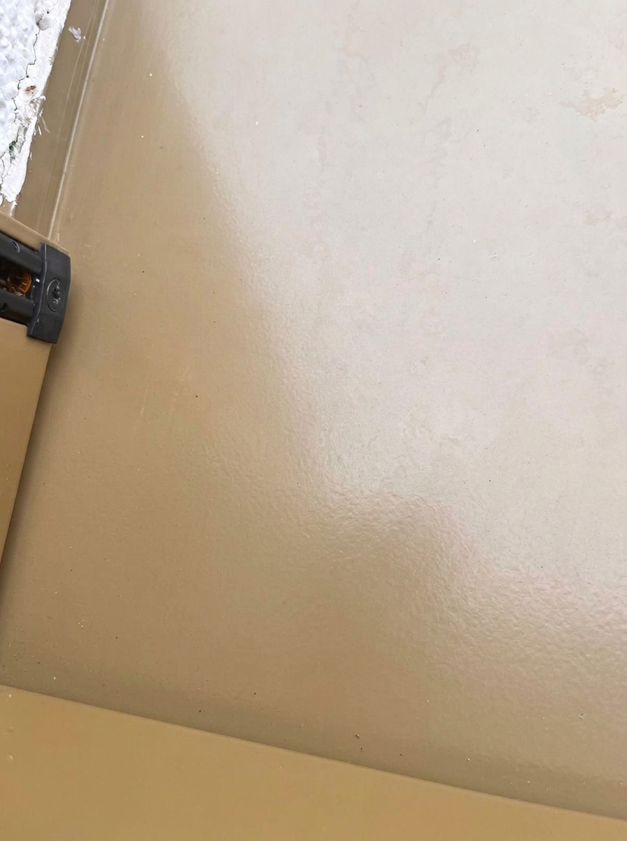 Insektenbefall auf dem Dachboden – nach der Behandlung